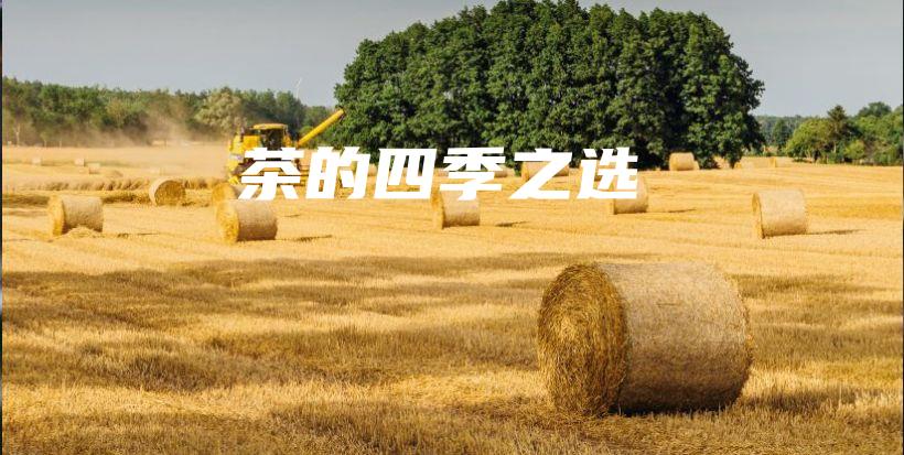 茶的四季之选插图