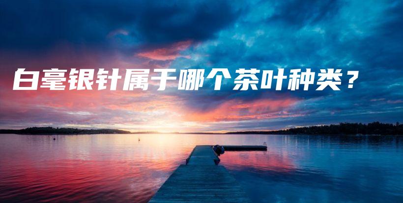 白毫银针属于哪个茶叶种类？插图