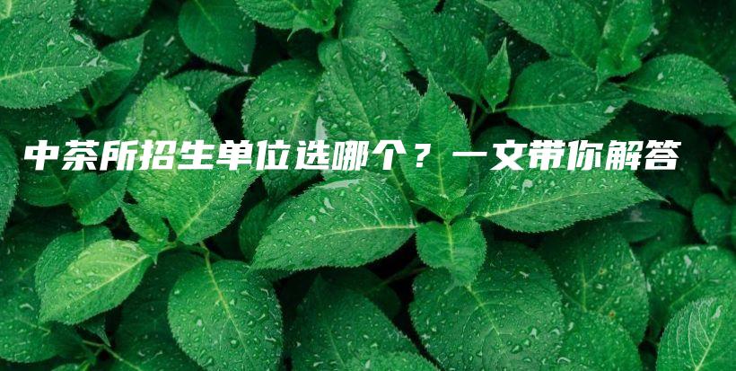 中茶所招生单位选哪个？一文带你解答插图