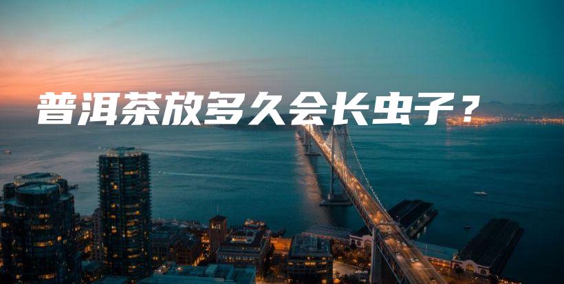 普洱茶放多久会长虫子？插图