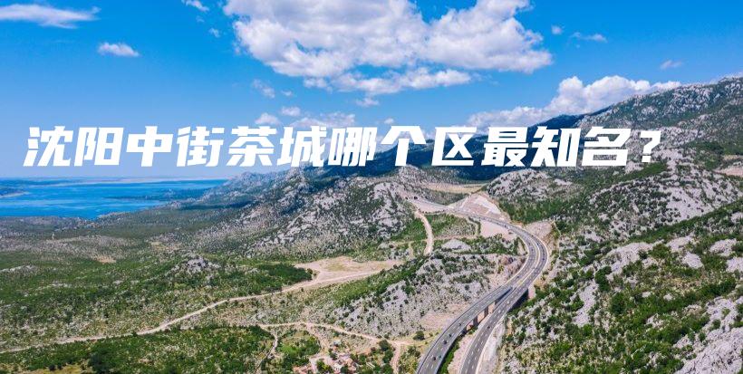 沈阳中街茶城哪个区最知名？插图