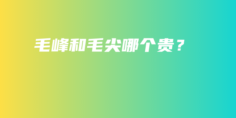 毛峰和毛尖哪个贵？插图
