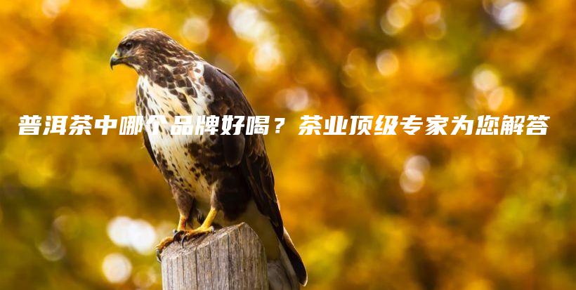 普洱茶中哪个品牌好喝？茶业顶级专家为您解答插图