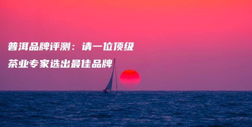 普洱品牌评测：请一位顶级茶业专家选出最佳品牌插图