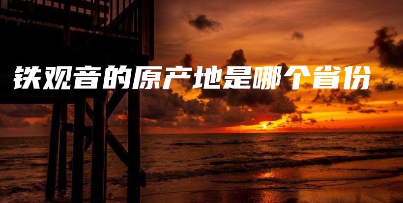 铁观音的原产地是哪个省份插图