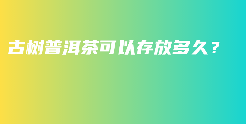 古树普洱茶可以存放多久？插图