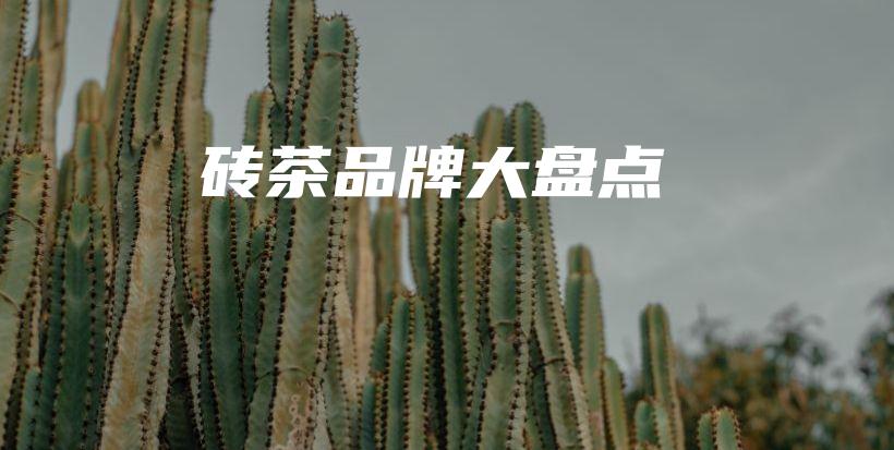 砖茶品牌大盘点插图