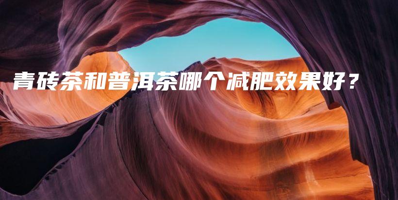 青砖茶和普洱茶哪个减肥效果好？插图