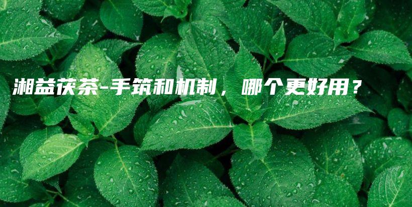 湘益茯茶-手筑和机制，哪个更好用？插图
