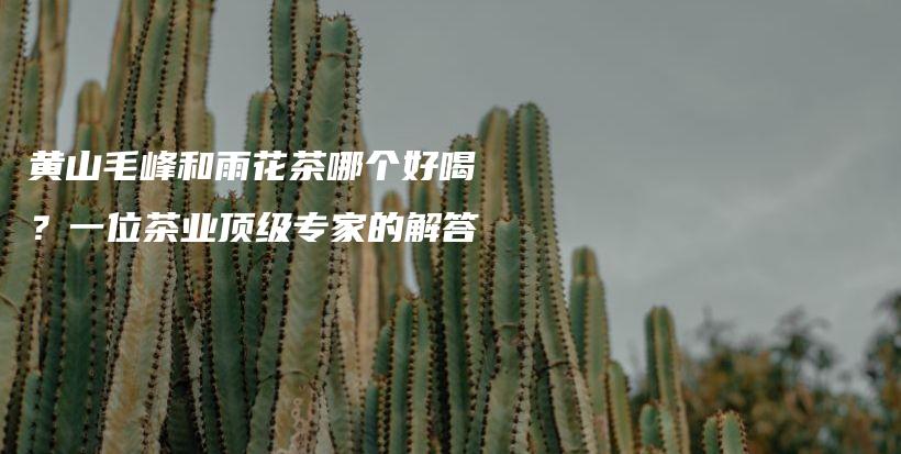 黄山毛峰和雨花茶哪个好喝？一位茶业顶级专家的解答插图