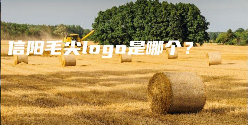 信阳毛尖logo是哪个？插图