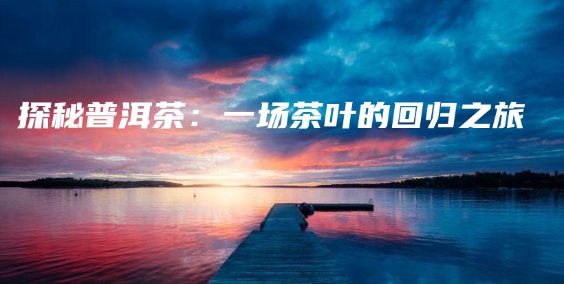探秘普洱茶：一场茶叶的回归之旅插图