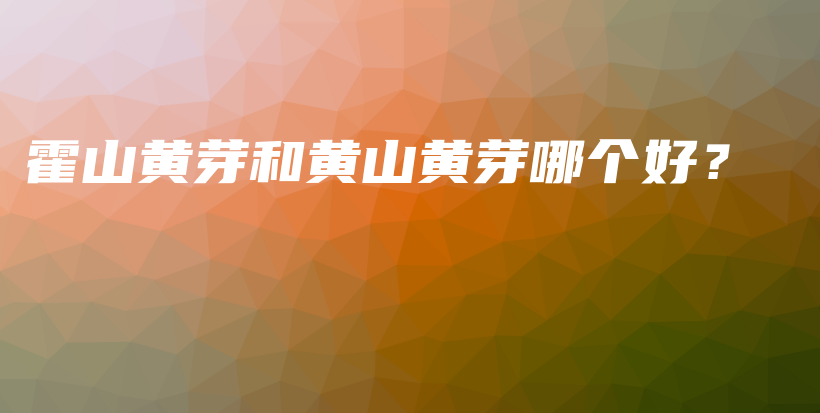 霍山黄芽和黄山黄芽哪个好？插图