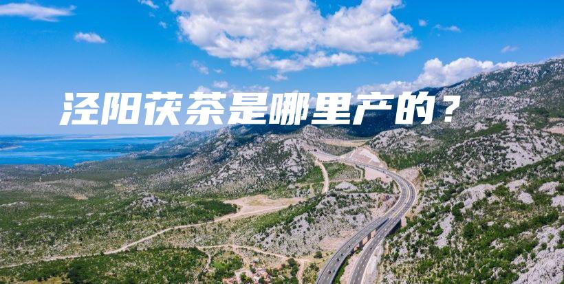 泾阳茯茶是哪里产的？插图