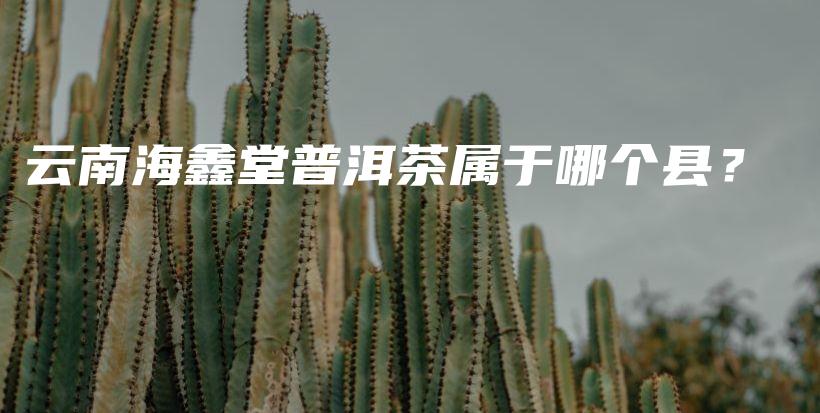 云南海鑫堂普洱茶属于哪个县？插图
