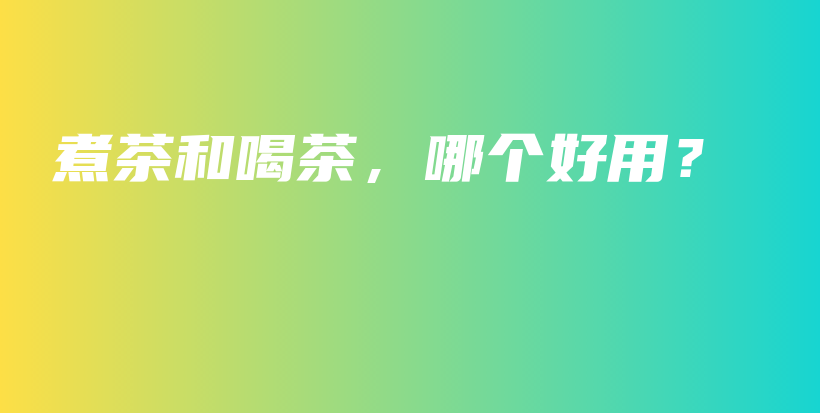 煮茶和喝茶，哪个好用？插图