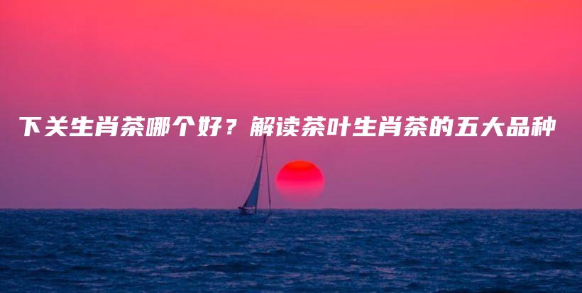 下关生肖茶哪个好？解读茶叶生肖茶的五大品种插图
