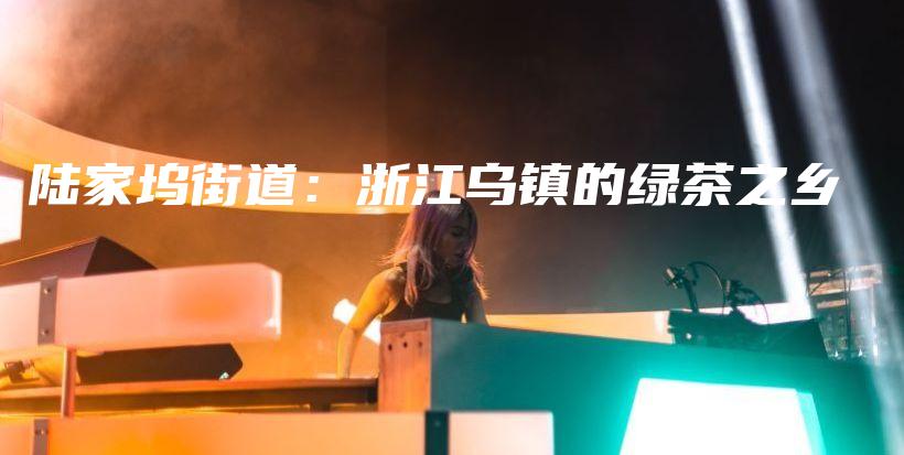 陆家坞街道：浙江乌镇的绿茶之乡插图