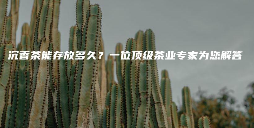 沉香茶能存放多久？一位顶级茶业专家为您解答插图