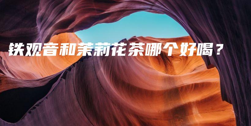 铁观音和茉莉花茶哪个好喝？插图