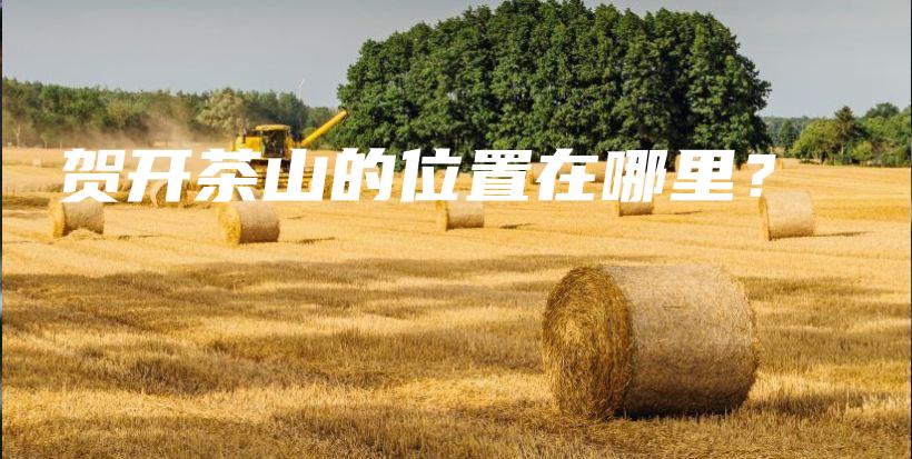 贺开茶山的位置在哪里？插图