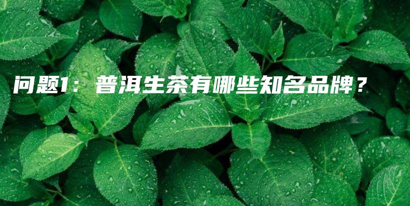 问题1：普洱生茶有哪些知名品牌？插图