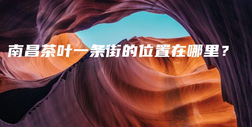 南昌茶叶一条街的位置在哪里？插图