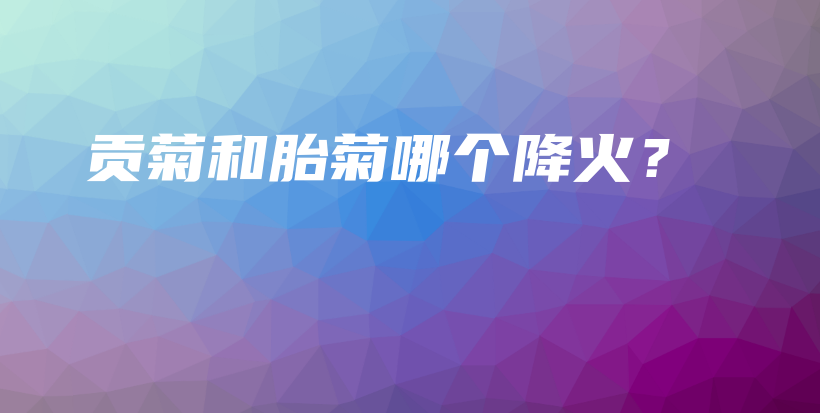 贡菊和胎菊哪个降火？插图