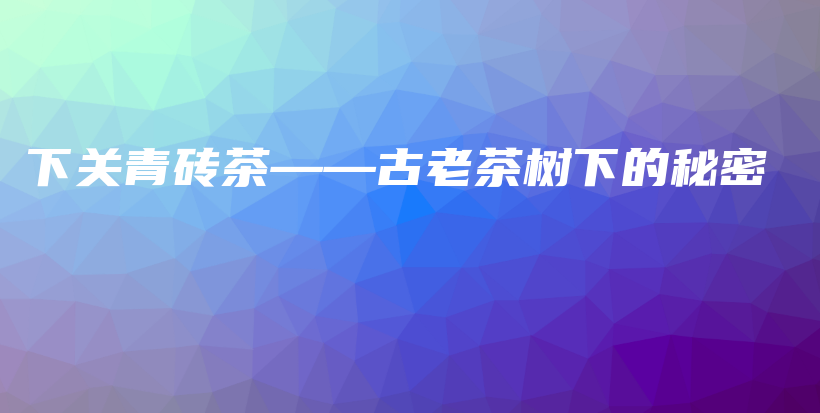 下关青砖茶——古老茶树下的秘密插图