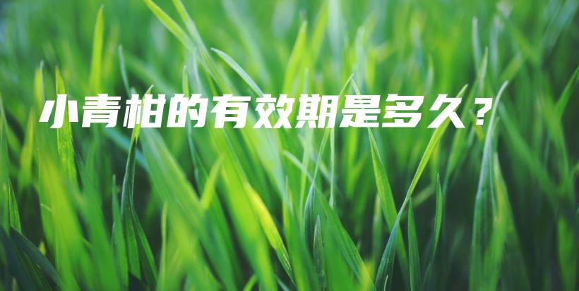 小青柑的有效期是多久？插图