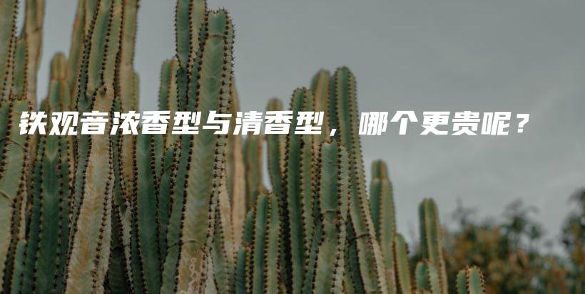 铁观音浓香型与清香型，哪个更贵呢？插图