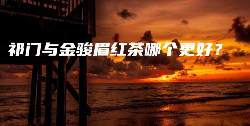 祁门与金骏眉红茶哪个更好？插图