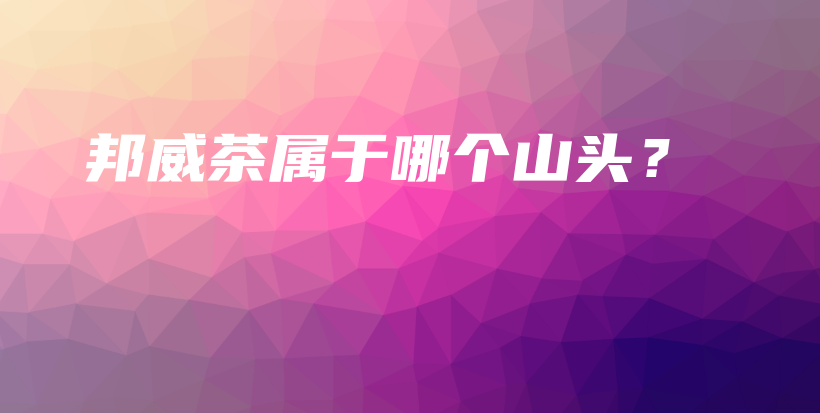 邦威茶属于哪个山头？插图