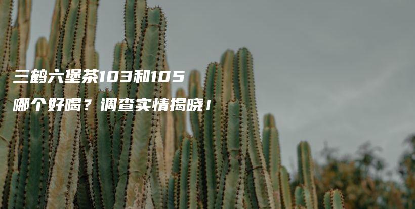 三鹤六堡茶103和105哪个好喝?调查实情揭晓!插图 三鹤六堡茶103和105哪个好喝?调查实情揭晓!插图