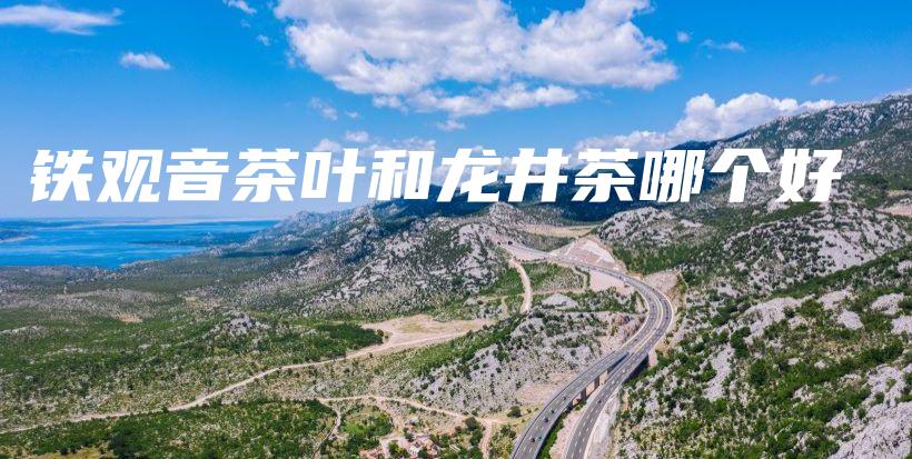 铁观音茶叶和龙井茶哪个好插图