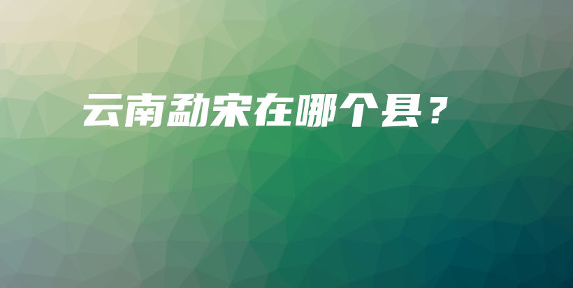 云南勐宋在哪个县？插图