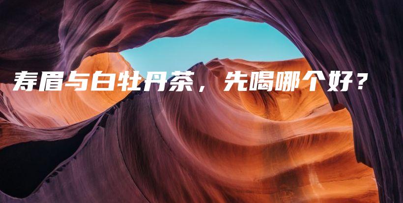 寿眉与白牡丹茶，先喝哪个好？插图