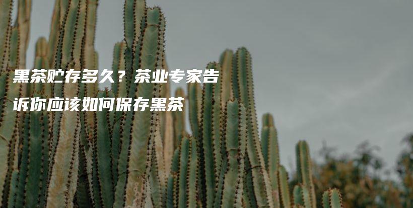 黑茶贮存多久？茶业专家告诉你应该如何保存黑茶插图