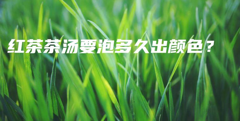 红茶茶汤要泡多久出颜色?插图 红茶茶汤要泡多久出颜色?插图