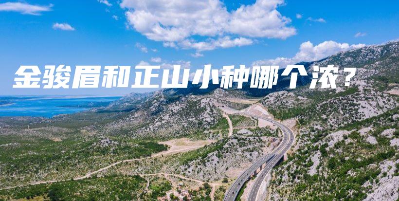 金骏眉和正山小种哪个浓？插图