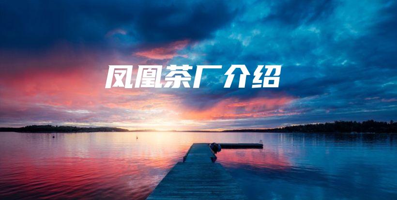 凤凰茶厂介绍插图 凤凰茶厂介绍插图