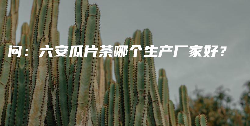 问：六安瓜片茶哪个生产厂家好？插图