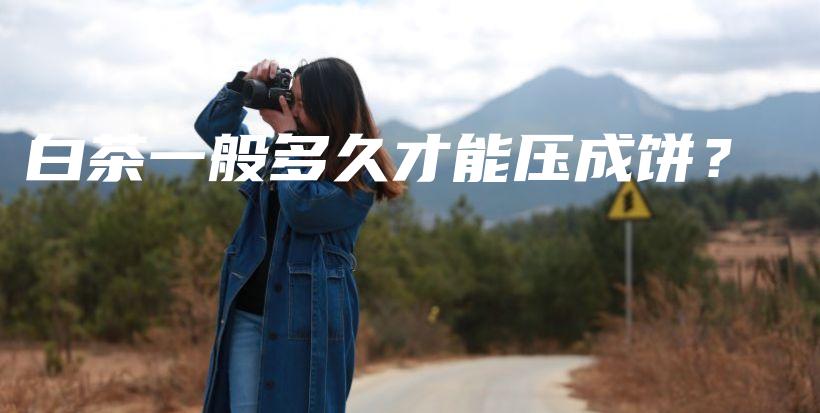 白茶一般多久才能压成饼?插图 白茶一般多久才能压成饼?插图