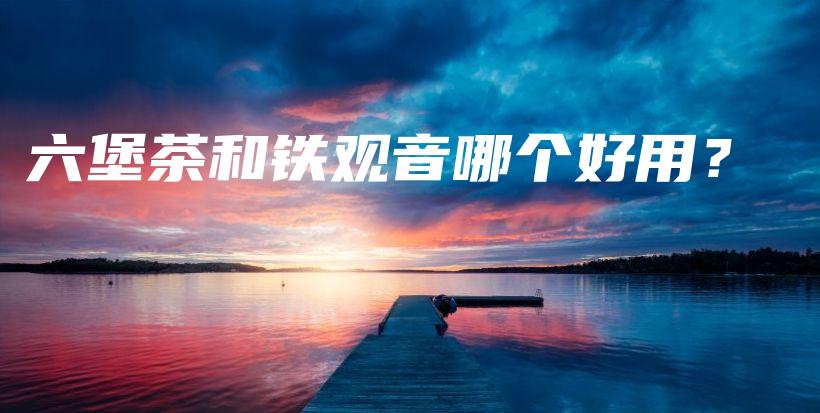 六堡茶和铁观音哪个好用?插图 六堡茶和铁观音哪个好用?插图
