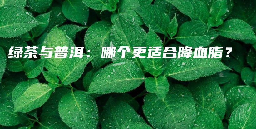 绿茶与普洱：哪个更适合降血脂？插图