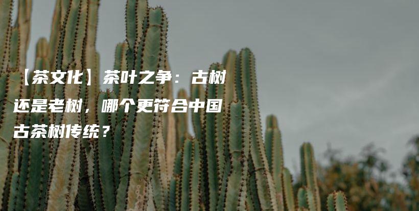 【茶文化】茶叶之争：古树还是老树，哪个更符合中国古茶树传统？插图