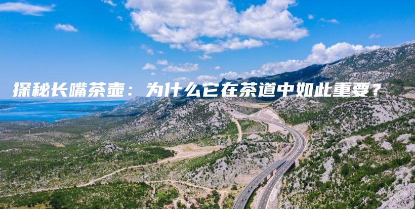 探秘长嘴茶壶：为什么它在茶道中如此重要？插图