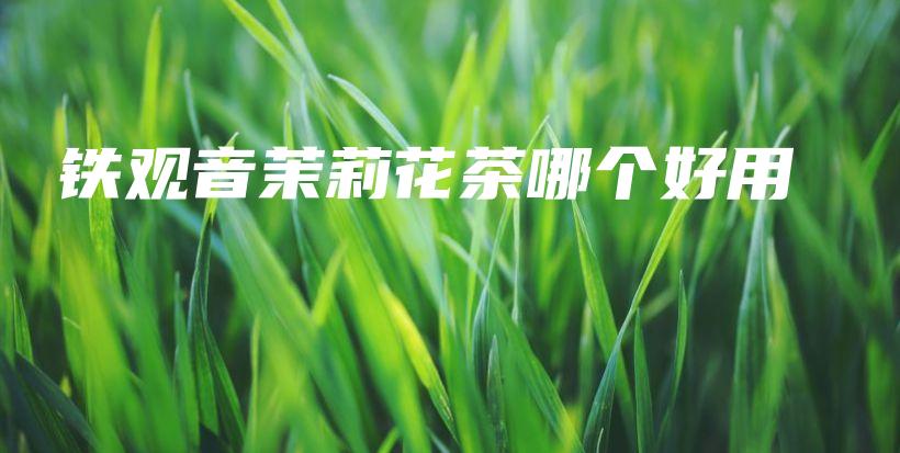 铁观音茉莉花茶哪个好用插图