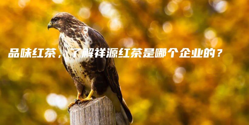 品味红茶，了解祥源红茶是哪个企业的？插图