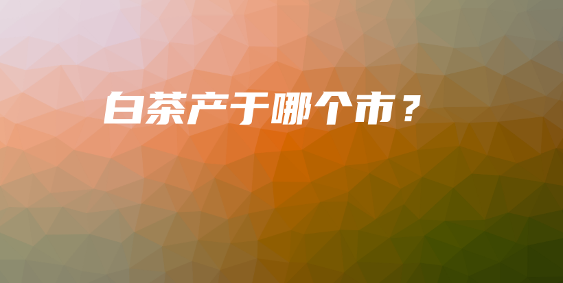 白茶产于哪个市？插图